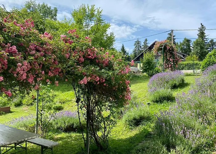 Montana * Fužine
