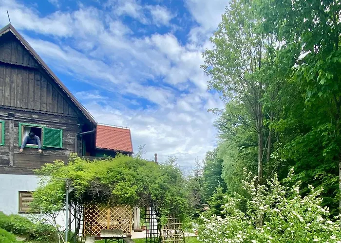 Montana Apartamento