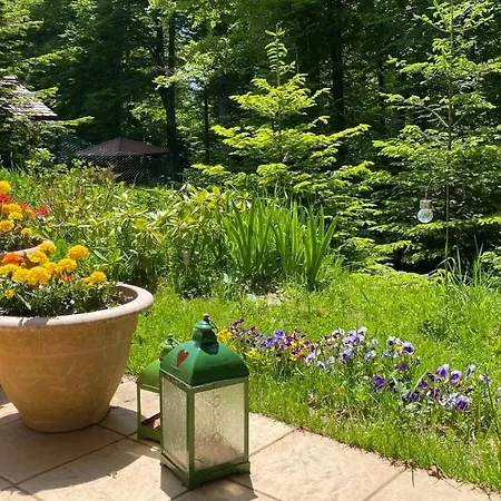Apartament Montana Fužine