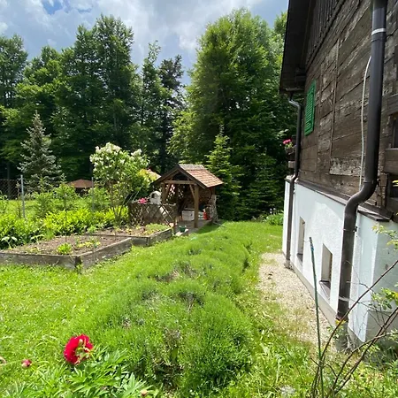 Montana Fužine