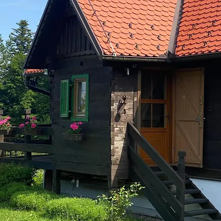 Montana Apartament