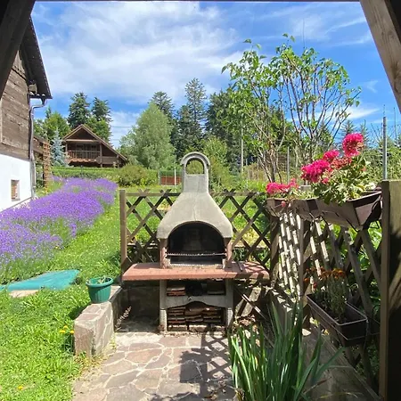 Montana Apartament *