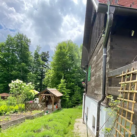 Apartament Montana *