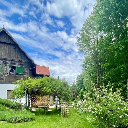 Montana Apartament