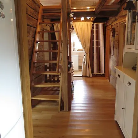 Apartament Montana Fužine