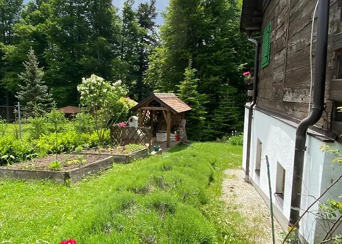 Montana Fužine