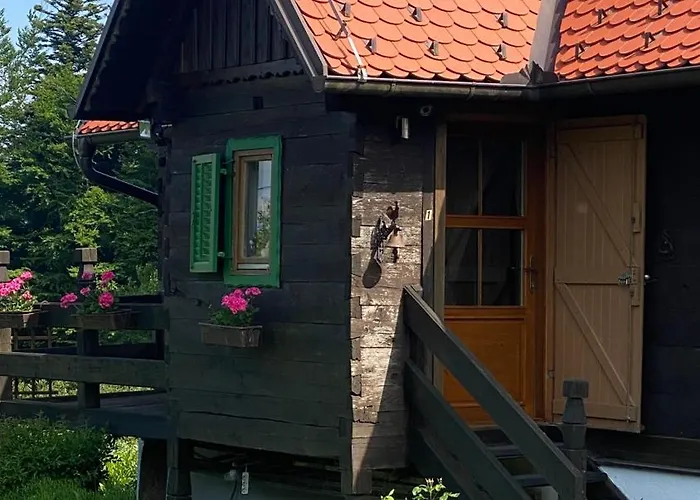 Montana Apartment